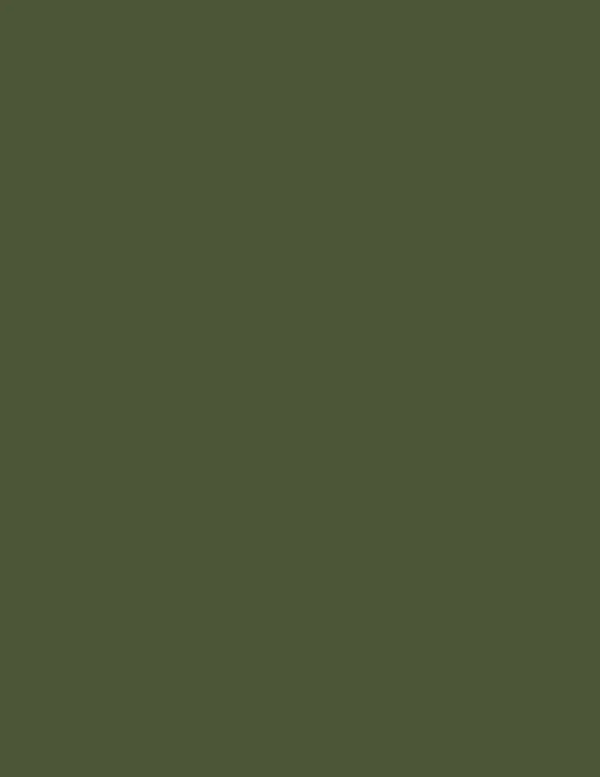 Clearly fictional Phase 5 color-field photograph 2.
